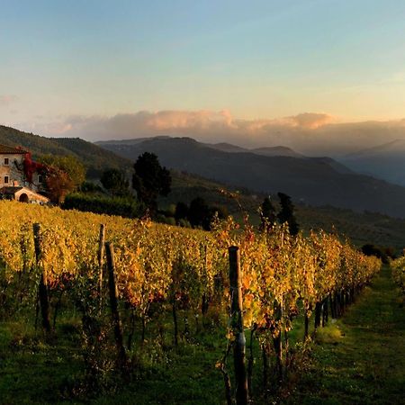 Agriturismo Fattoria Lavacchio ปอนตาสซิเอเว ภายนอก รูปภาพ