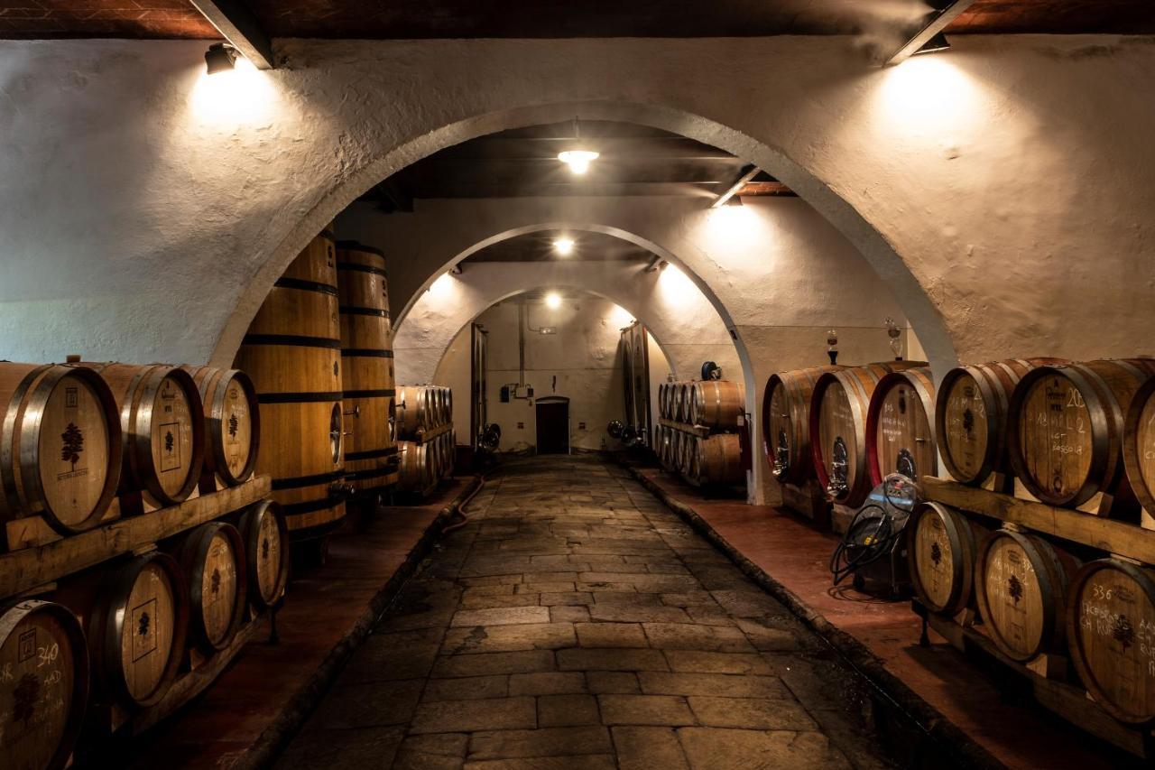 Agriturismo Fattoria Lavacchio ปอนตาสซิเอเว ภายนอก รูปภาพ