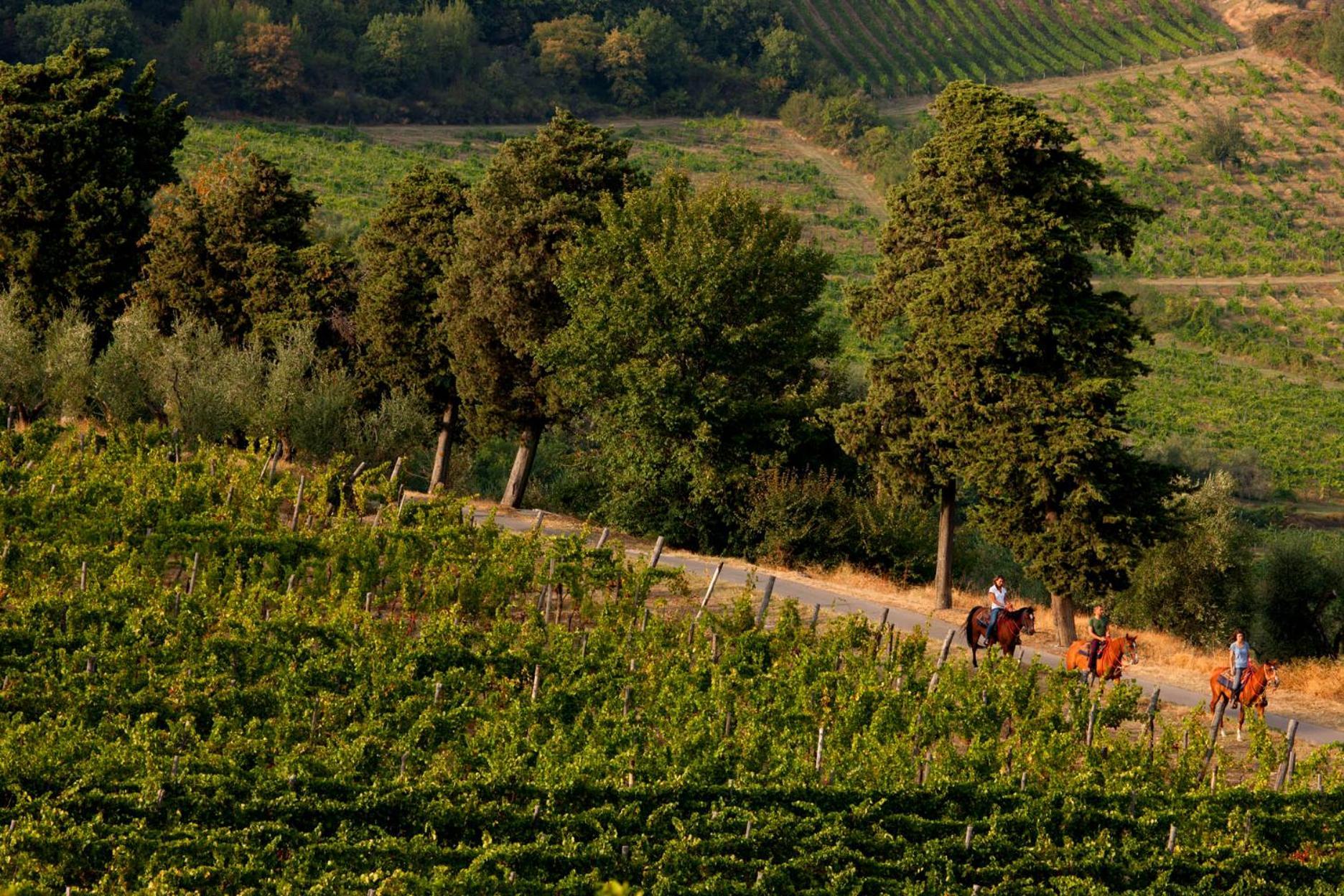Agriturismo Fattoria Lavacchio ปอนตาสซิเอเว ภายนอก รูปภาพ
