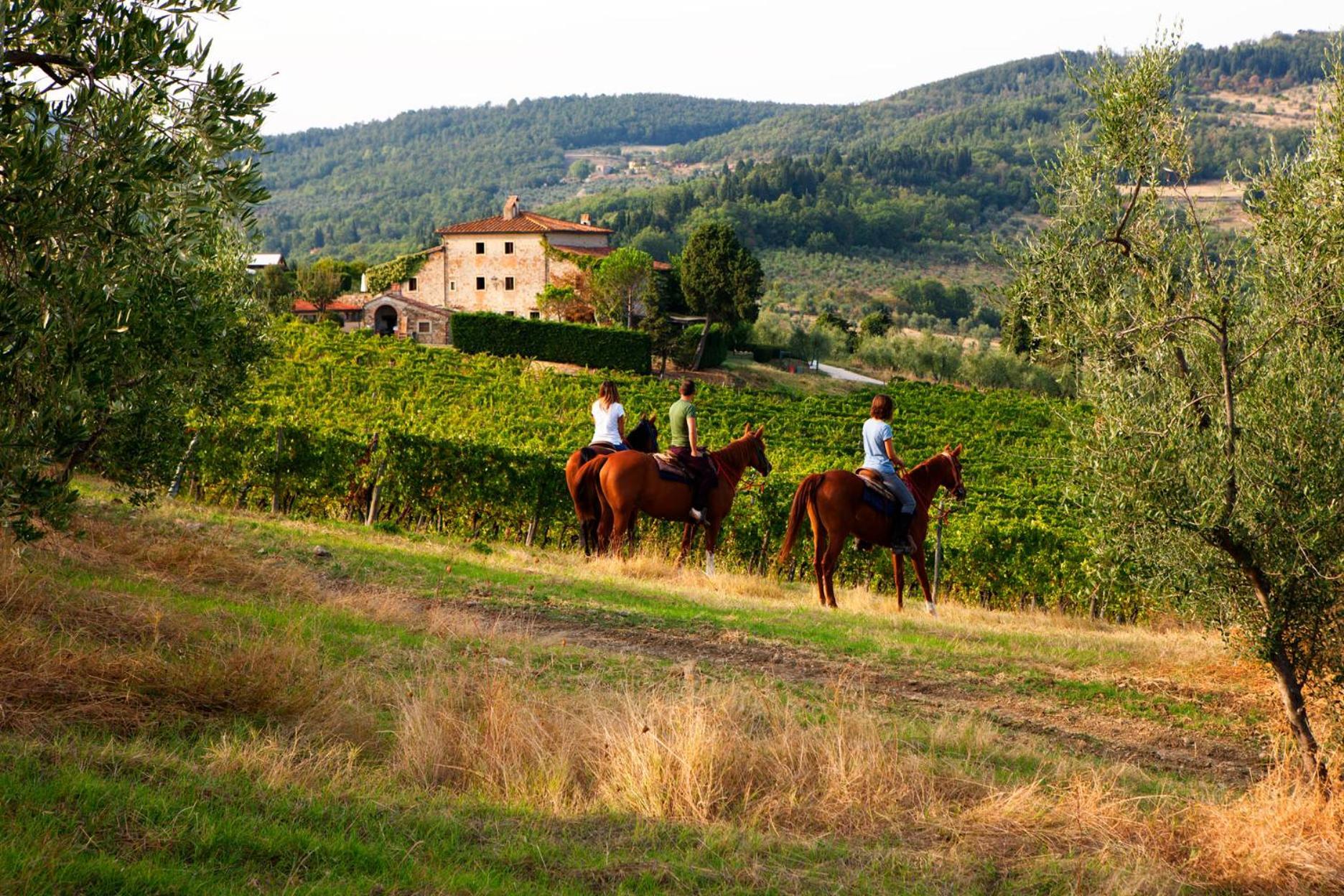 Agriturismo Fattoria Lavacchio ปอนตาสซิเอเว ภายนอก รูปภาพ