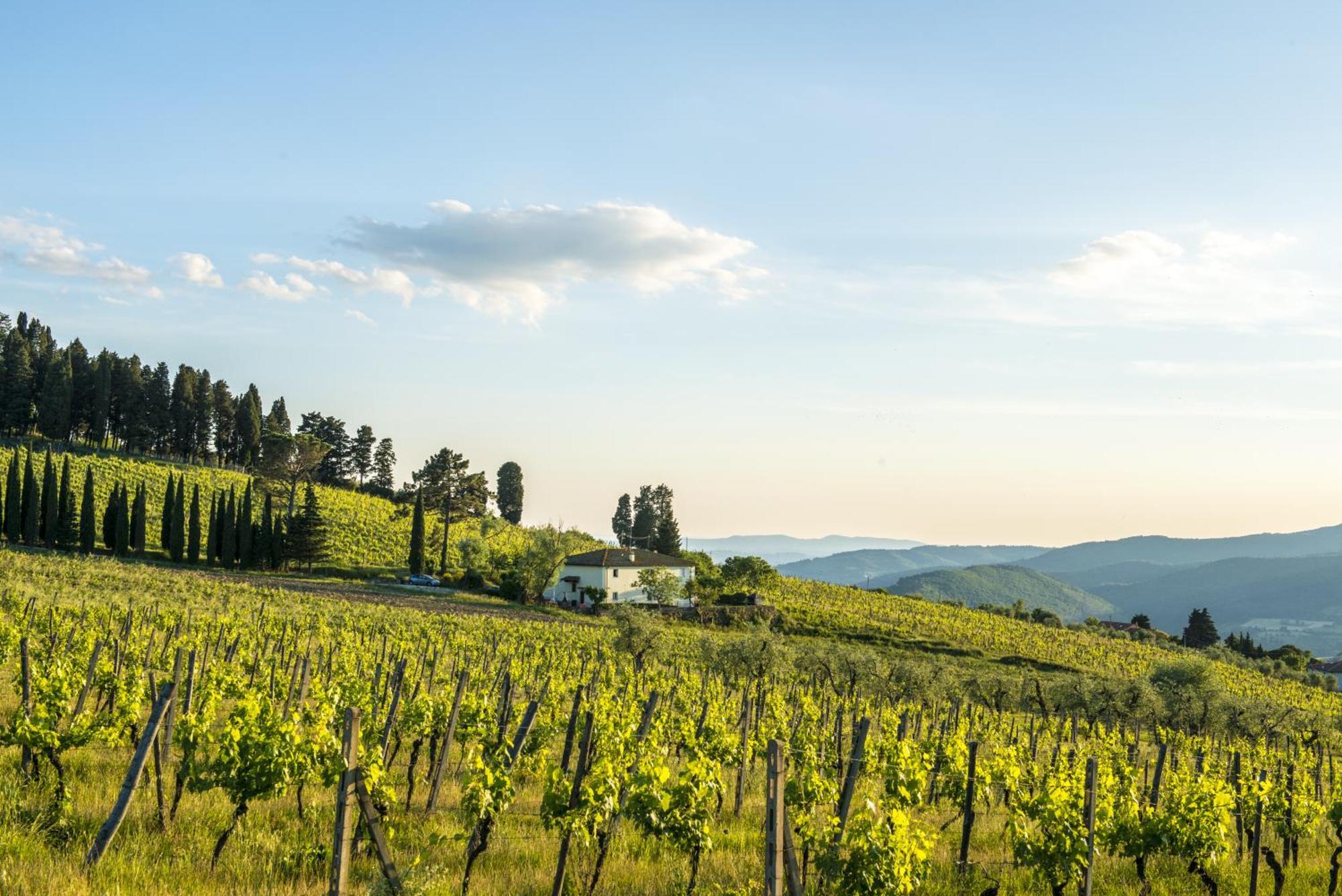 Agriturismo Fattoria Lavacchio ปอนตาสซิเอเว ห้อง รูปภาพ