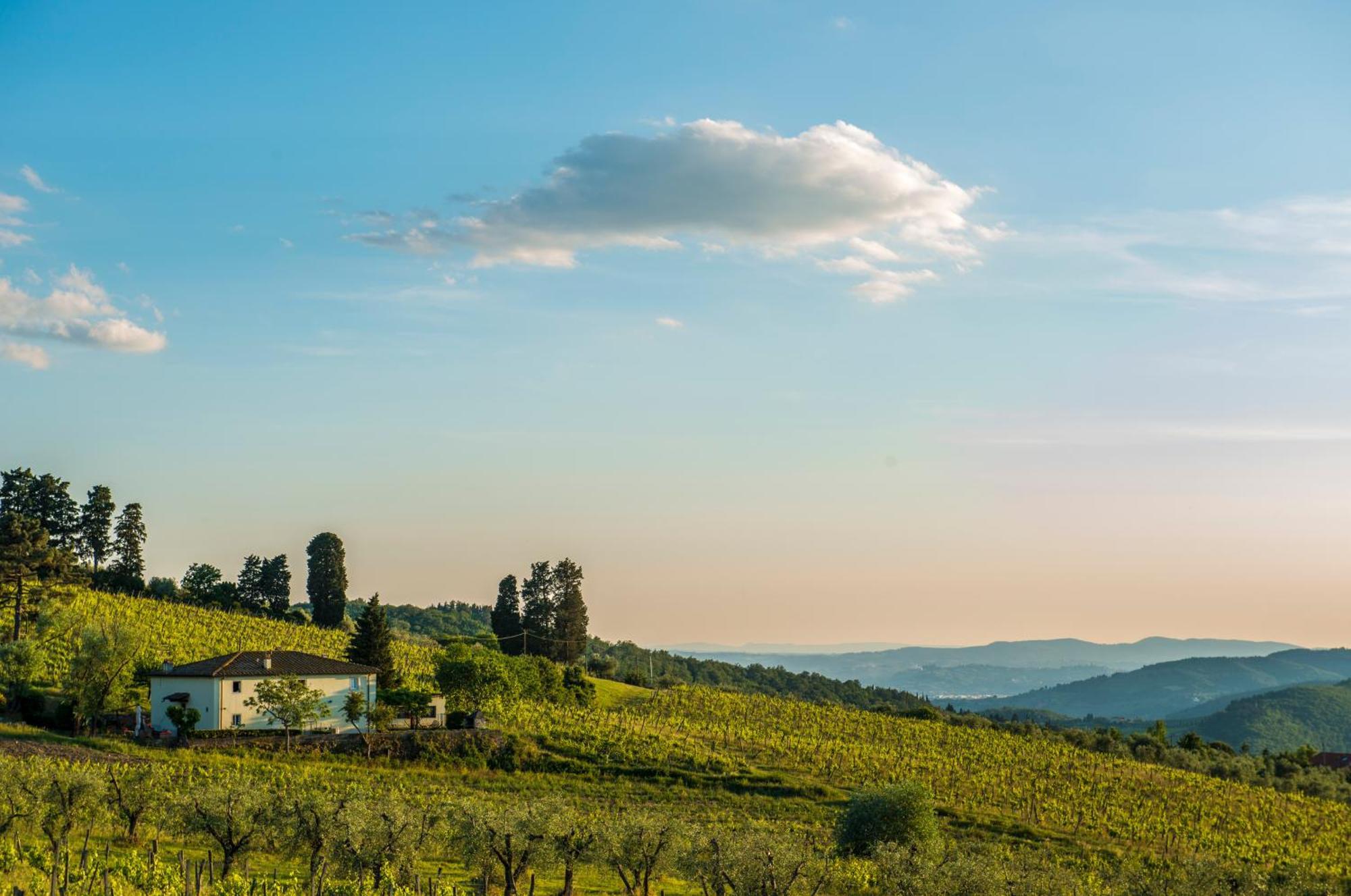 Agriturismo Fattoria Lavacchio ปอนตาสซิเอเว ห้อง รูปภาพ