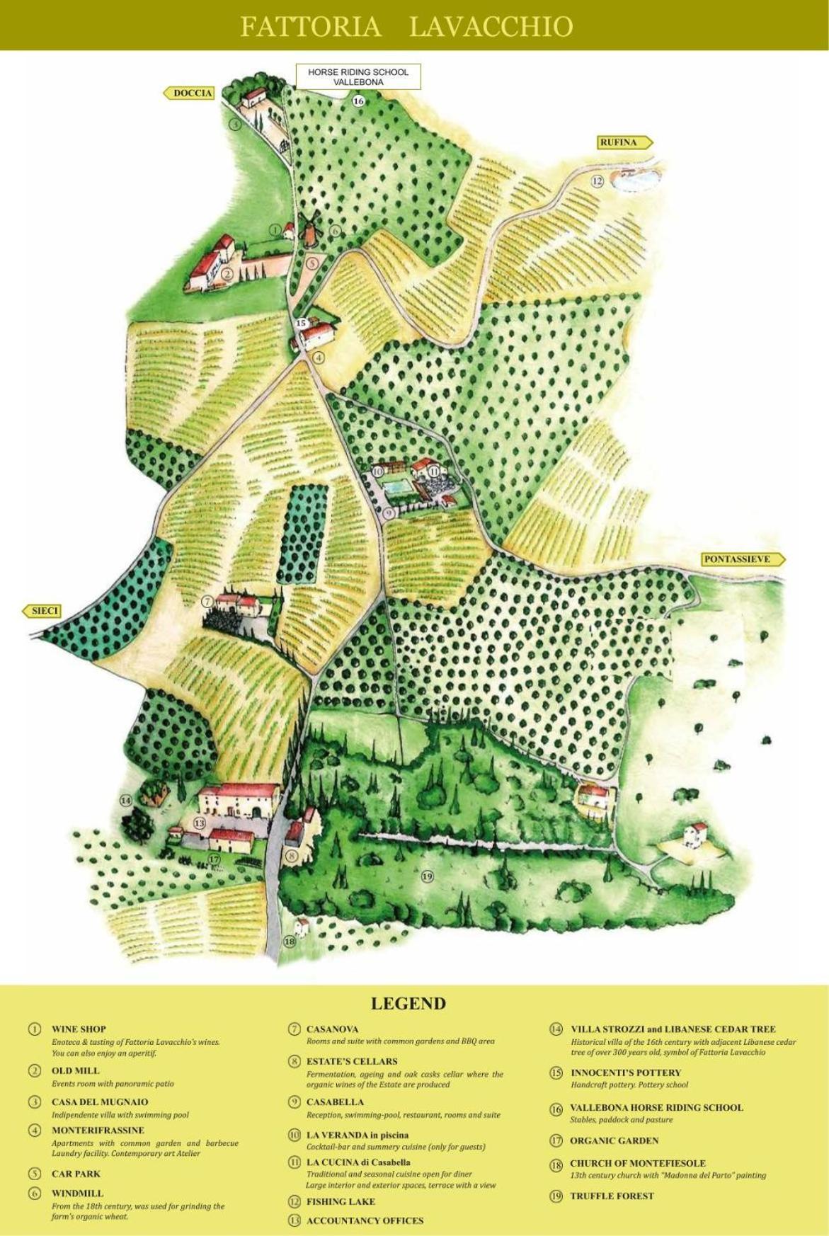 Agriturismo Fattoria Lavacchio ปอนตาสซิเอเว ภายนอก รูปภาพ