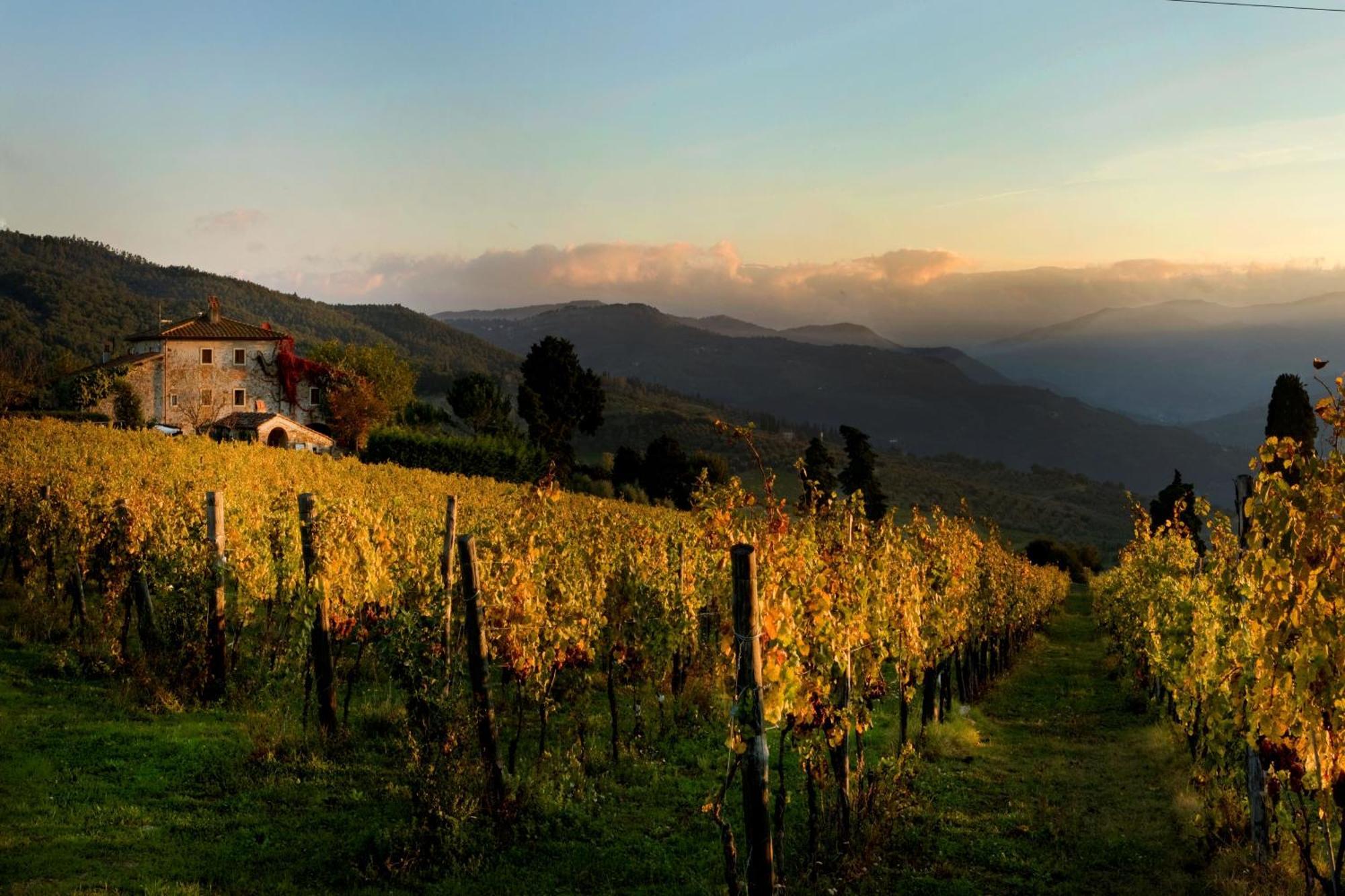 Agriturismo Fattoria Lavacchio ปอนตาสซิเอเว ภายนอก รูปภาพ
